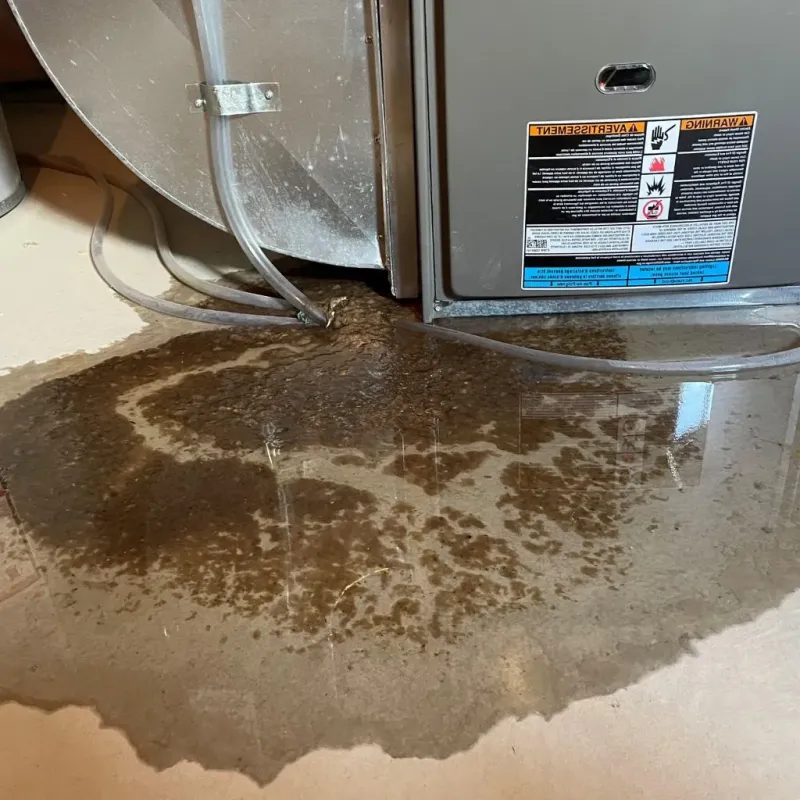 Pipe Burst and Leak Restoration in North Windham, ME